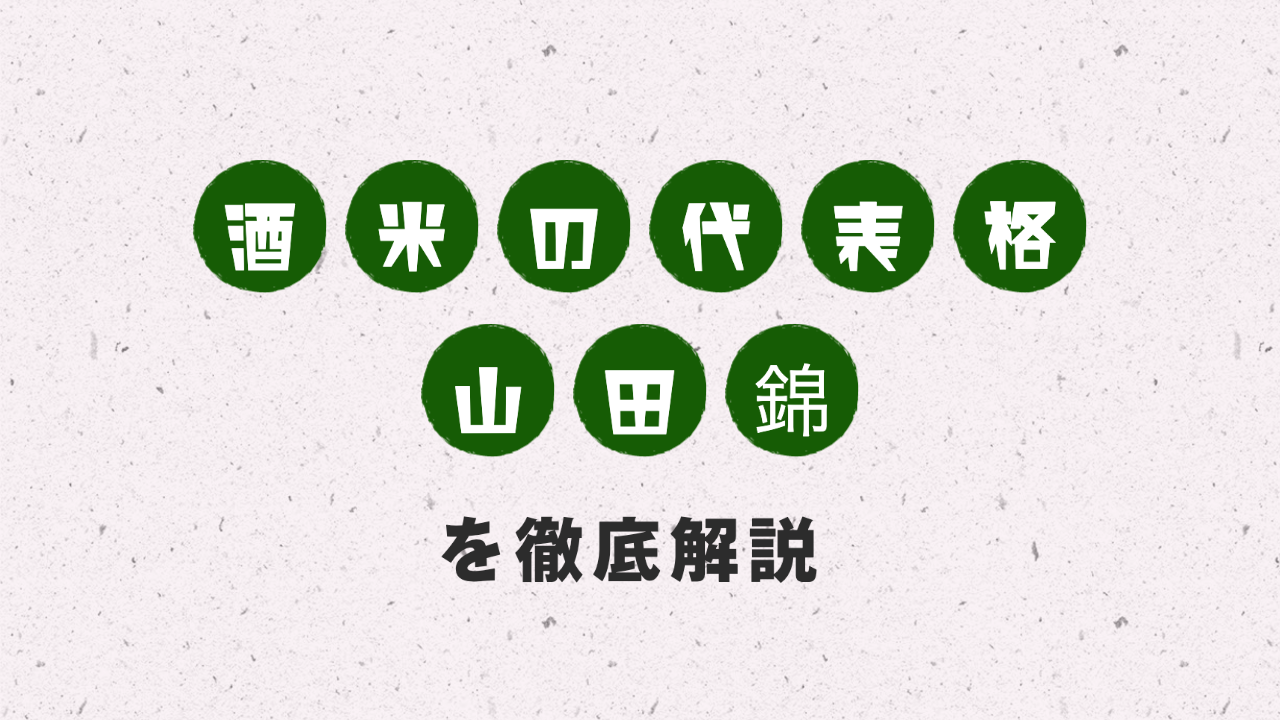 酒米の代表格『山田錦』を徹底解説