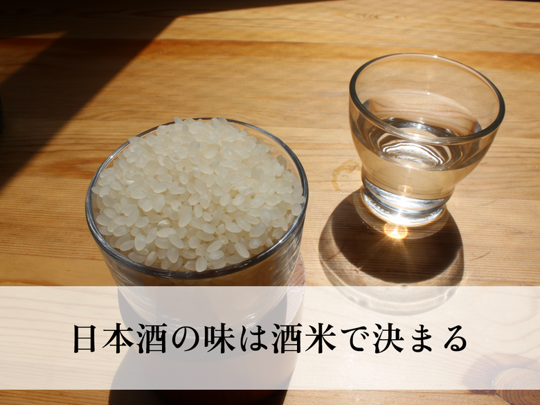 日本酒の味は酒米で決まる！食用米との違い・代表的な種類を紹介